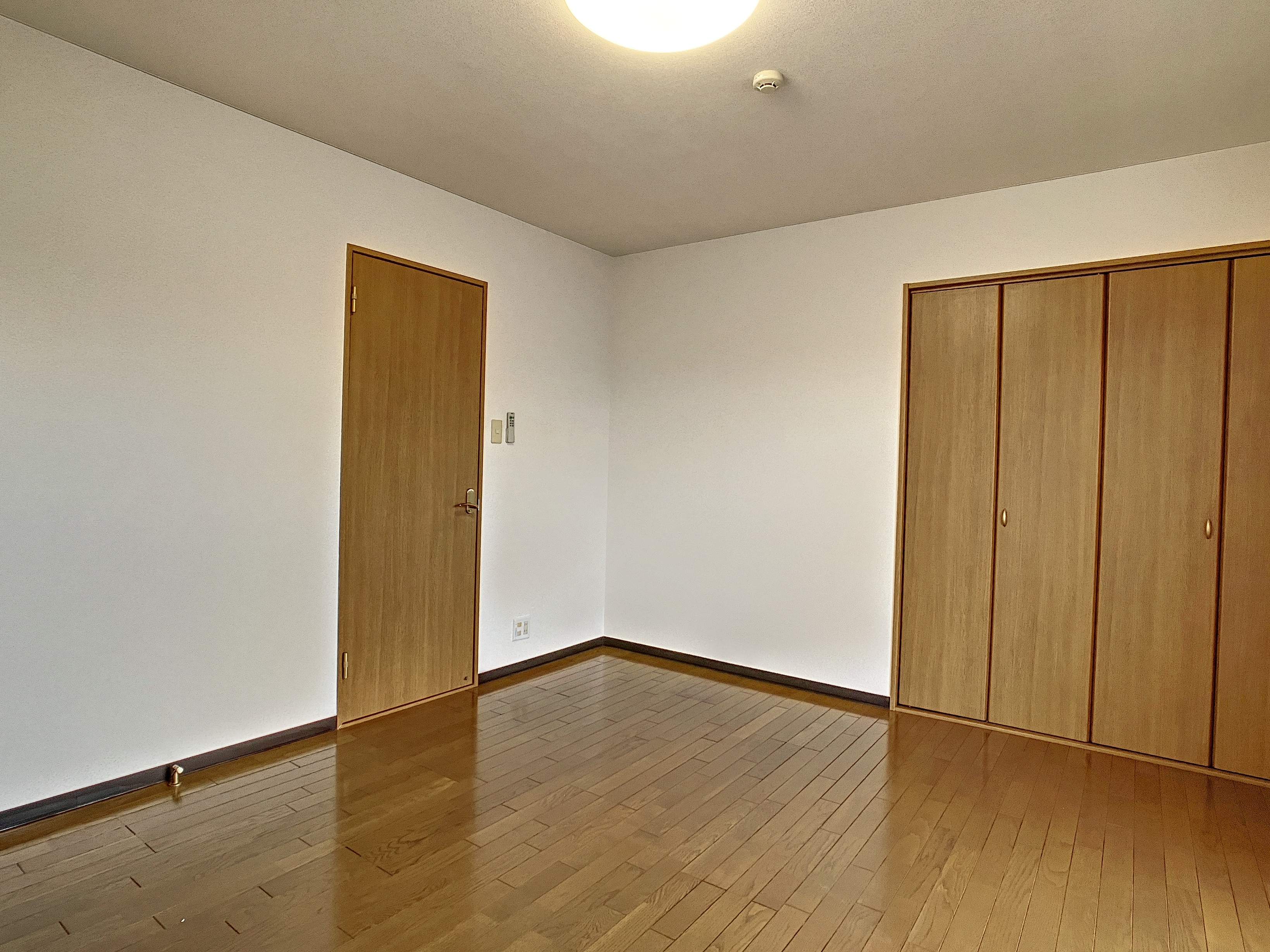 gallery1