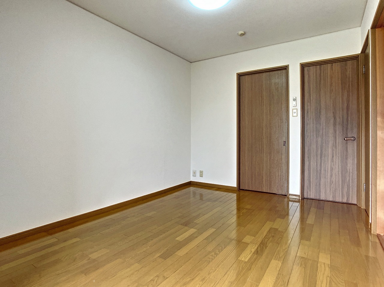 gallery1